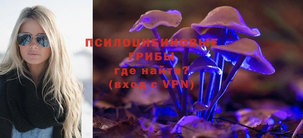 бошки Алексин