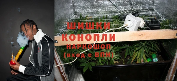 apvp Алзамай