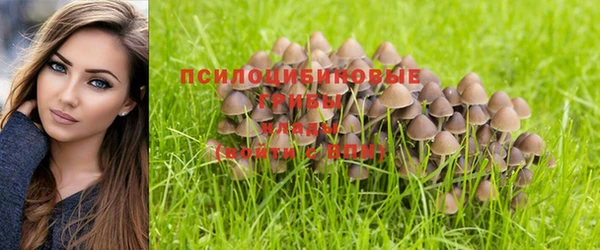 COCAINE Абдулино